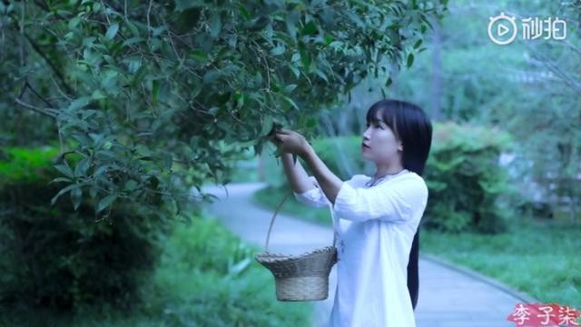 看了李子柒的后院, 終于明白為什么1000萬設(shè)計師羨慕她的生活了 看了李子柒的后院, 終于明白為什么1000萬設(shè)計師羨慕她的生活了
